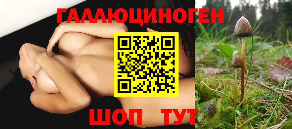 Октябрьский  Псилоцибиновые грибы Psilocybine cubensis  Псилоцибиновые грибы Psilocybe  Вход с VPN 